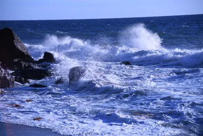 DSC_0584 (Large).JPG